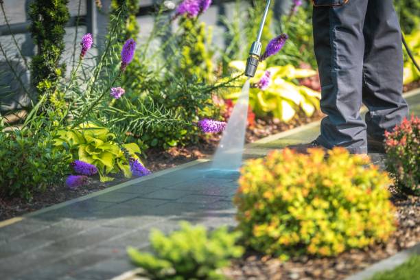 Trusted North Amityville, NY Pressure Washing Experts